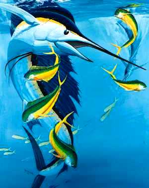 Sailfish Balling Bait